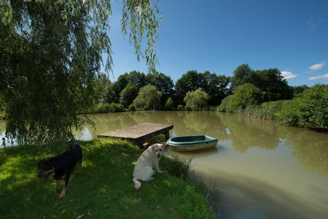 Gite Des Peupliers Girondelle ภายนอก รูปภาพ